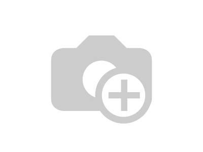 Raw beech ring 38cm. 10div. whisk