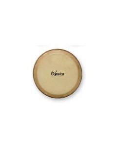 Testa 12" djembe gonale ref.r00121